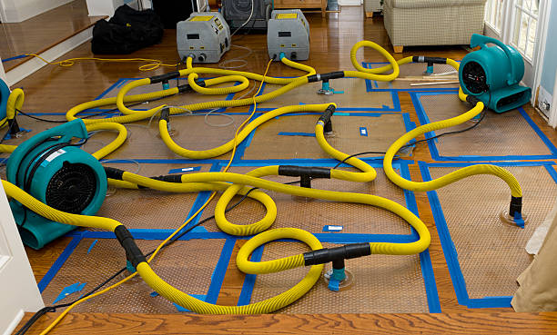 Professional Basement Flood Cleanup technician working in Blairstown, NJ